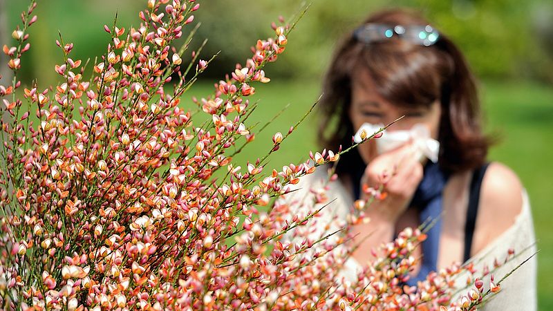 Com'è possibile che oggi più persone soffrano di allergie? Ha risposto ad altre domande sulle allergie