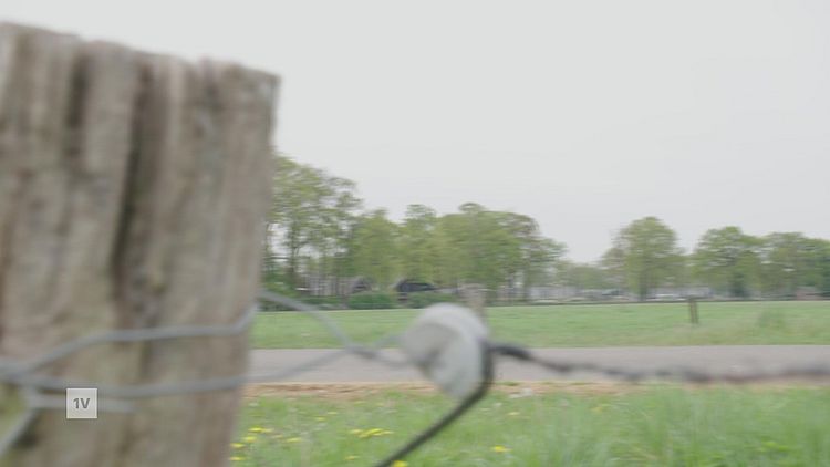 Bekijk hier de tv-reportage.