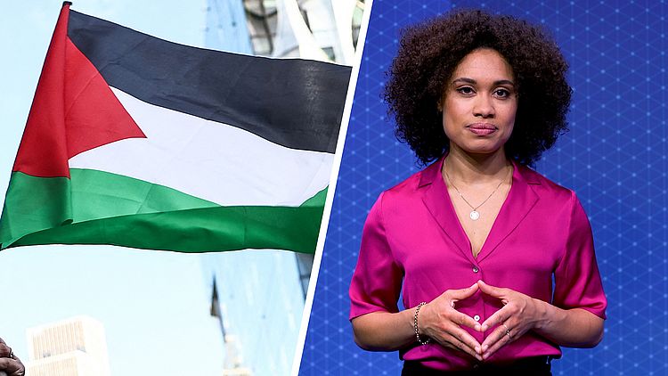 Palestina erkennen als staat? Zo werkt dat