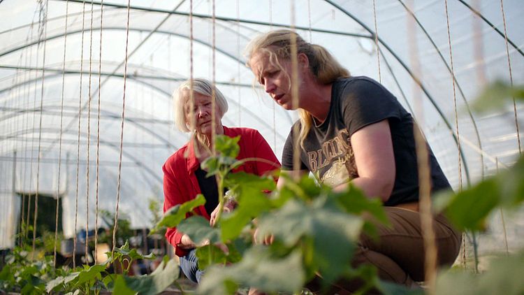 Helemaal geen gif in de landbouw: in haar pluktuin in Zwolle bewijst Joke dat het kan