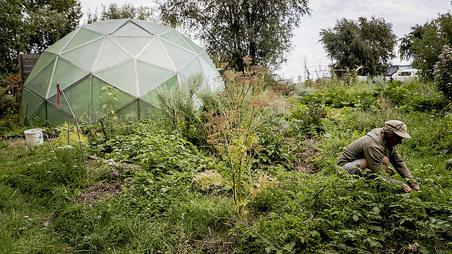 Bewoner in moestuin ADM-terrein, 2017