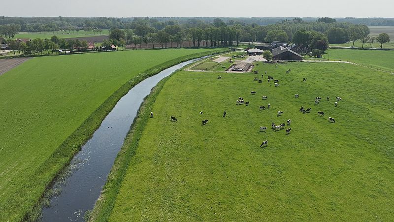 Het weiland van boer Patrick te Voortwis wordt doorsneden door de beek Boven Slinge