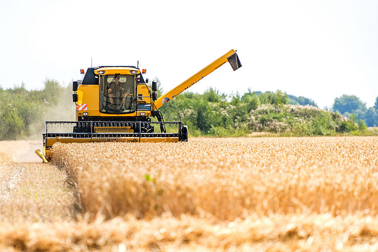 Droogte kan onverzekerde boeren de kop kosten