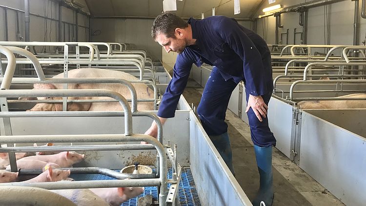 Actieplan moet zorgen voor minder stalbranden
