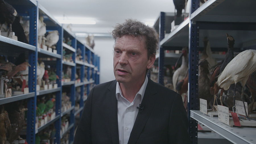 Directeur Edwin ten Huis van Naturalis.