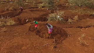 Zo kan een gebied in Afrika dat 2 keer zo groot is als Europa weer vruchtbaar worden