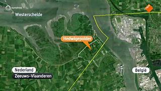 'Hedwigepolder locatie voor opvang asielzoekers'