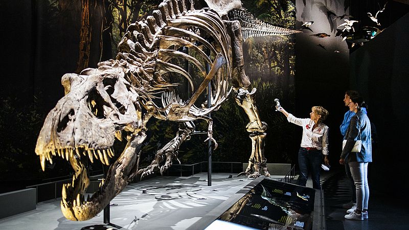 Kanker een moderne ziekte? Dinosaurussen hadden het al, weten wetenschappers