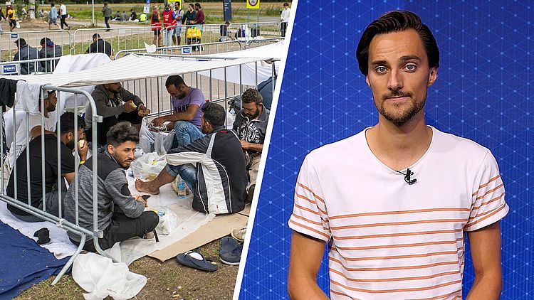 Uitgelegd: waar de asielzoekers in Ter Apel precies vandaan komen