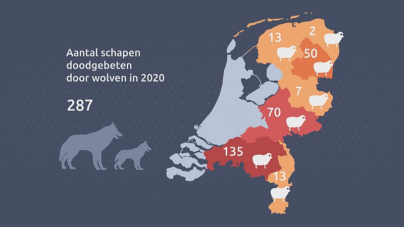 Doodgebeten schapen Doodgebeten schapen