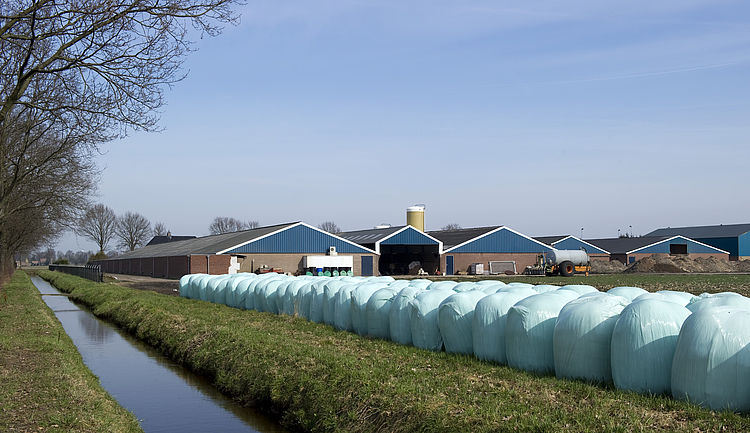 Provincie Noord-Brabant: gemeentelijk toezicht veehouderijen faalt