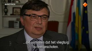 Ambassadeur: vliegtuig opzettelijk neergeschoten
