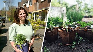Hoe maak je je tuin of balkon biodivers? Hier moet je op letten als je 'bijvriendelijke' planten wil kopen