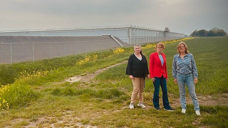 Nog altijd stank in Hellevoetsluis door wietfabriek, maar omwonenden Cora, Nettie en Wil blijven ert