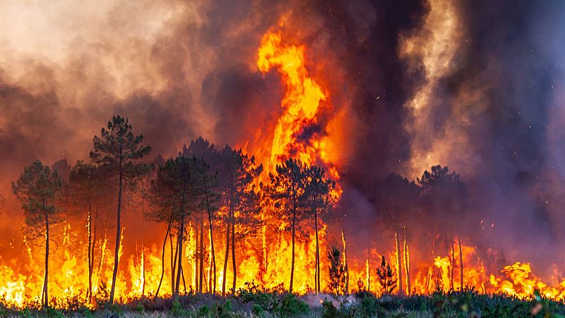 Bosbrand in Frankrijk