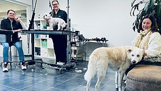 Beppie redt jarenlang honden uit Turkije en is woest dat zwerfhonden nu sneller worden ingeslapen: 'Dit is dieptriest'