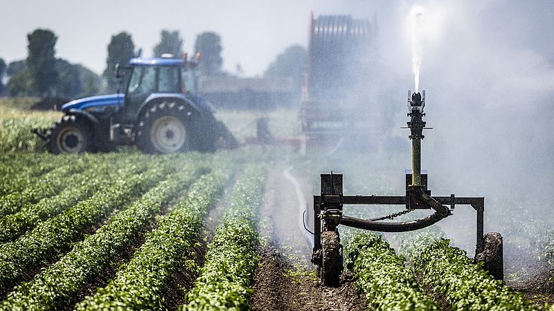 Is er een droogterecord? Het is maar hoe je het bekijkt - EenVandaag