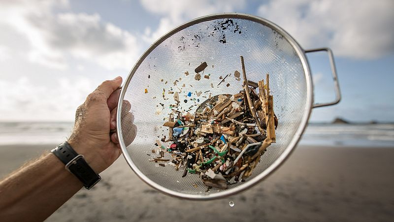 Quanto sono pericolose le microplastiche? E altre domande su questi piccoli pezzi di plastica hanno trovato risposta