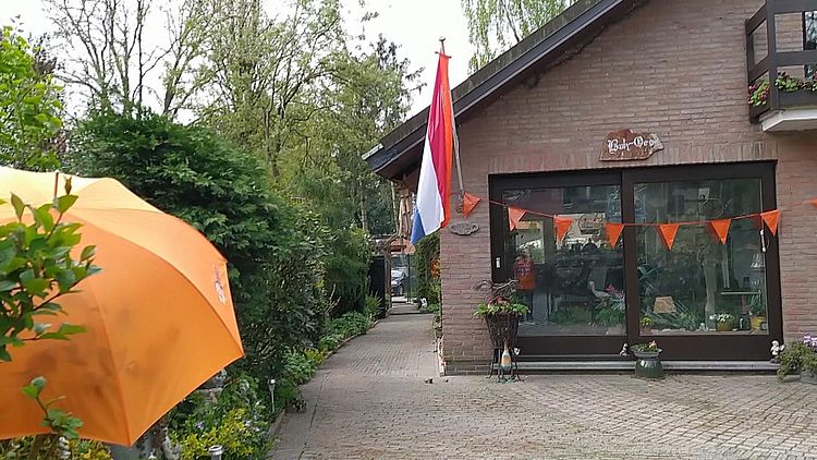 Dit deden leden van het Opiniepanel met Koningsdag.