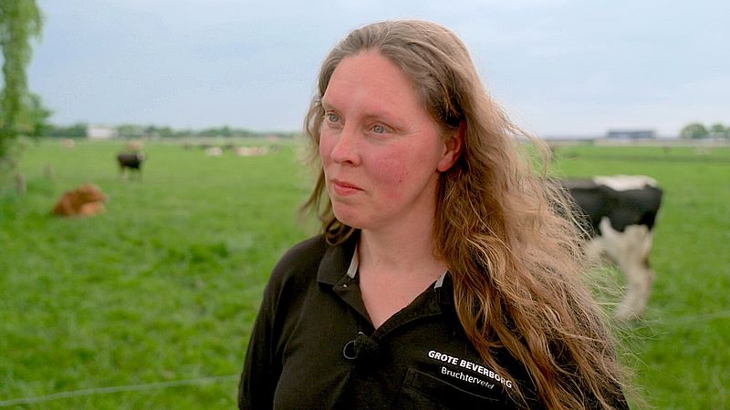 Hoe de nieuwe stikstofaanpak van kabinet boeren klem zet: 'Venijn zit in de details'