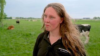 Hoe de nieuwe stikstofaanpak van kabinet boeren klem zet: 'Venijn zit in de details'