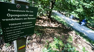 'Als subsidie voor kroondomein Het Loo onterecht is, moet koning terugbetalen', zegt advocaat Faunabescherming die rechtszaak voert