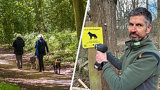 Hondeneigenaren boos dat hun viervoeter in Utrecht aan de lijn moet vanwege de wolf: 'Hond raakt gefrustreerd'