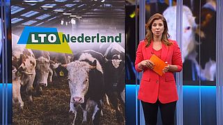 EenVandaag
