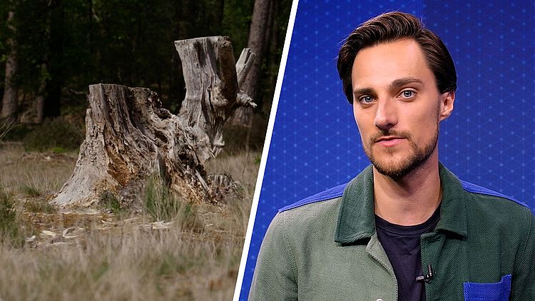 Waarom ook waterland Nederland droogte niet opgelost krijgt