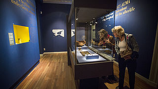 Krimschatten blijven voorlopig bij Allard Pierson Museum, Gerechtshof velt nog geen oordeel