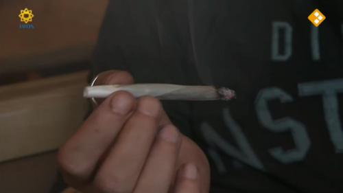 Politie in actie tegen coffeeshop Maastricht