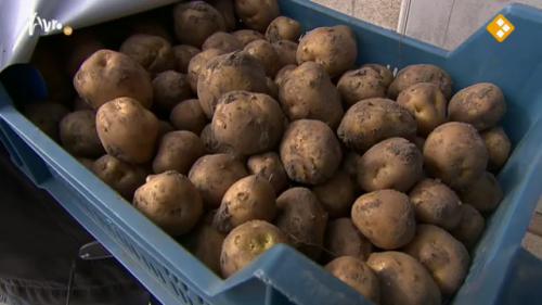 Aardappelen en fruit ongekend duur