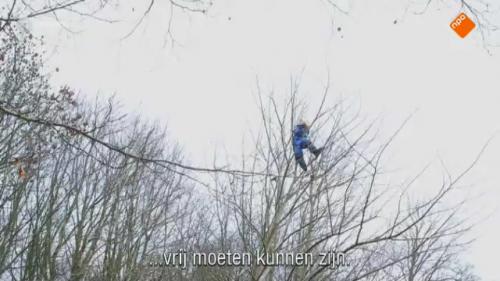 Kinderopvang Deense stijl: in het bos