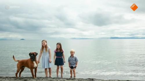 ‘Huisdierenverlof’: oplossing voor problemen asiel?