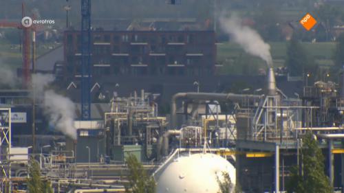 Advies: eet in Dordrecht geen groenten uit moestuin