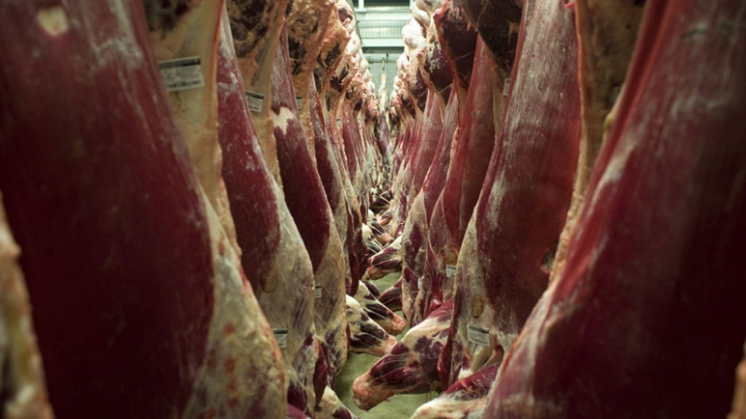 Fraude in de vleesindustrie
